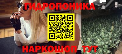 индика Краснодар