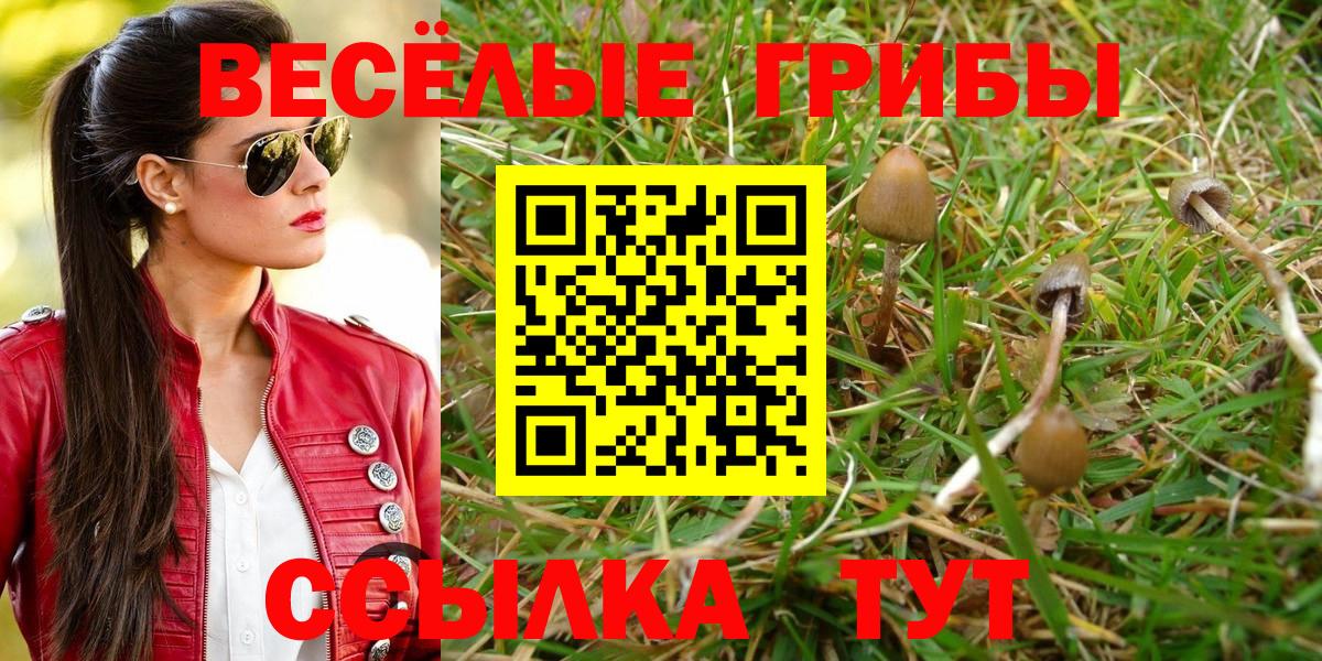 Галлюциногенные грибы мицелий Касимов